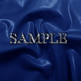 Zoy Texture [ Shine Latex 03 ] Navy