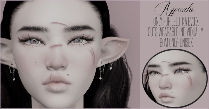 - Affreschi - Face Cuts EvoX DEMO