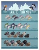 ::BB:: Arctic Friends Beluga (storm_BOXED