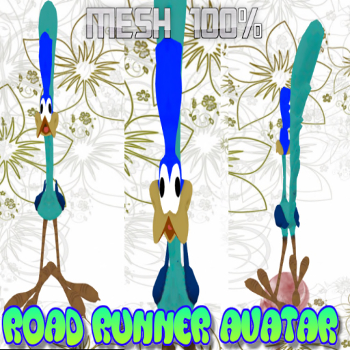 ROAD RUNNER AVATAR MESH COMPLETE
