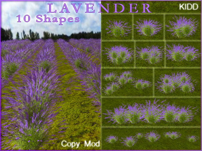 KIDD Lavender Bush Series * 10 Shapes * Copy Mod