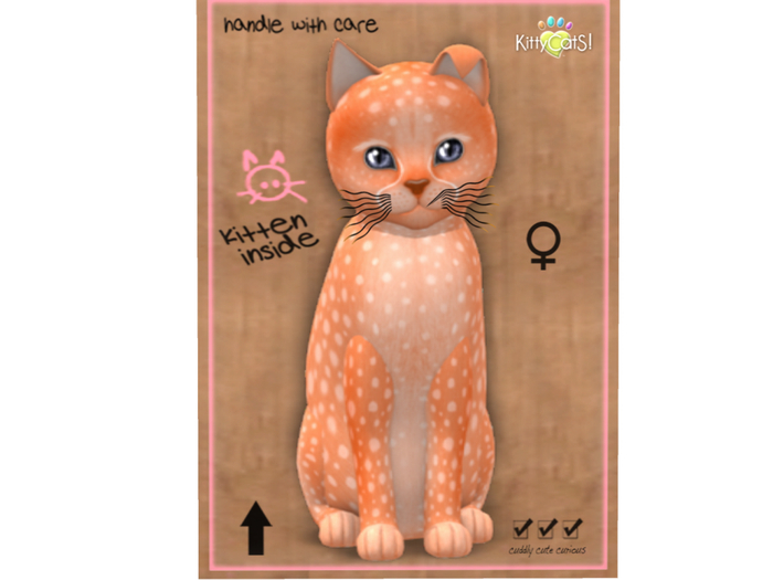 KittyCatS Box - 7T - F - Cheetah! - Tangerine