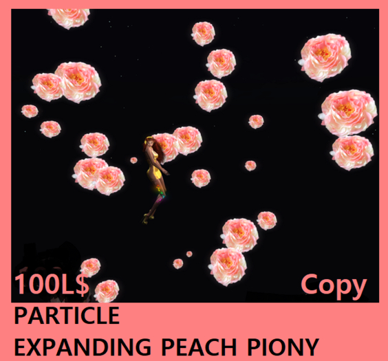 PARTICLE EXPANDING PEACH PIONY