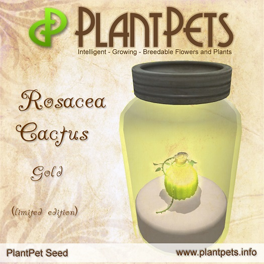 PlantPet Seed [Rosacea Cactus *Gold*] limited