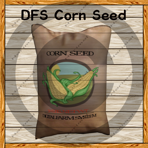 DFS Corn Seed TEXTURE