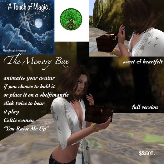 The Memory Box Plays full song BOX