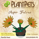 PlantPet Seed [Aster *Fulvus*] common vintage Release Year 2007