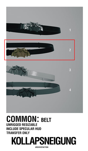 ARCHIVEFACTION_KOLLAPSNEIGUNG GACHA_Belt 02