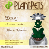 PlantPet Seed [Daisy *Chrome Black Combo*] rare vintage Release Year 2010