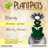 PlantPet Seed [Daisy *Chrome Black Mosaic*] rare vintage Release Year 2010