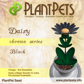 PlantPet Seed [Daisy *Chrome Black*] rare vintage Release Year 2010