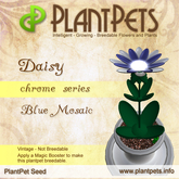 PlantPet Seed [Daisy *Chrome Blue Mosaic*] rare vintage Release Year 2010