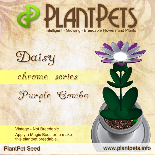 PlantPet Seed [Daisy *Chrome Purple Combo*] rare vintage Release Year 2010