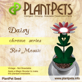 PlantPet Seed [Daisy *Chrome Red Mosaic*]