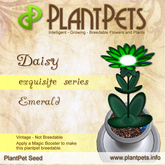 PlantPet Seed [Daisy *Emerald*] rare vintage Release Year 2010