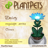 PlantPet Seed [Daisy *Ocean*]