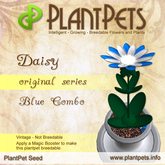 PlantPet Seed [Daisy *Original Blue Combo*] rare vintage Release Year 2010