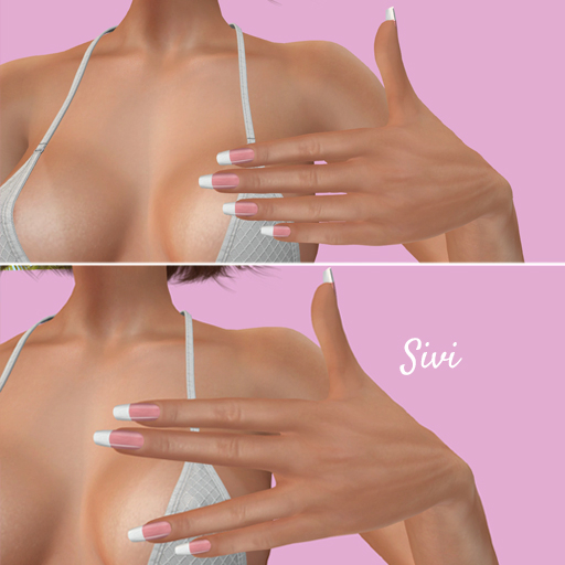 Typing bento animation S1