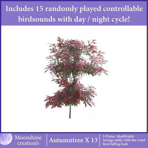 Autumntree X-13