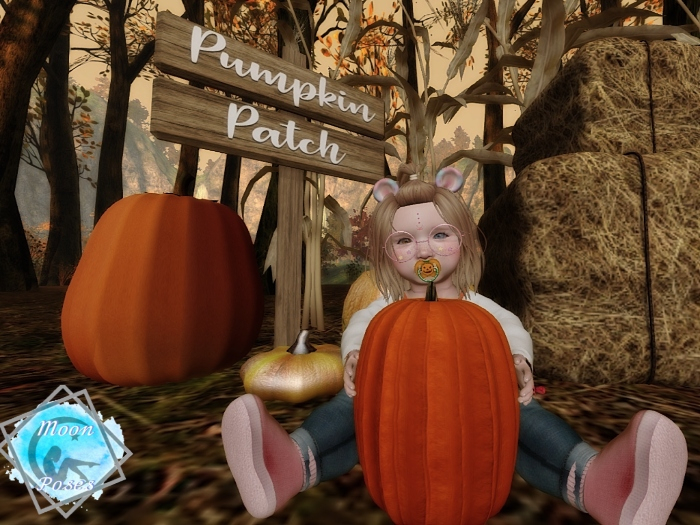{Moon} Poses - Pumpkin {GIFT} (Prop Included)