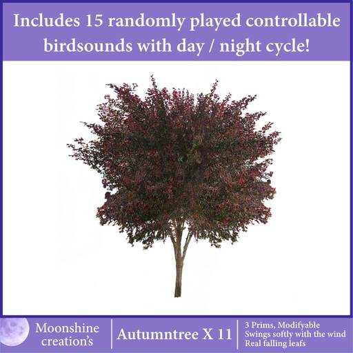Autumntree X-11