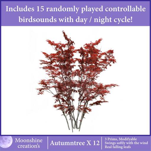 Autumntree X-12
