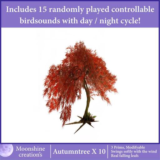 Autumntree X-10