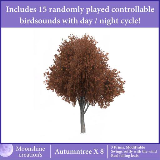 Autumntree X-8