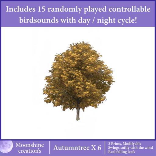 Autumntree X-6