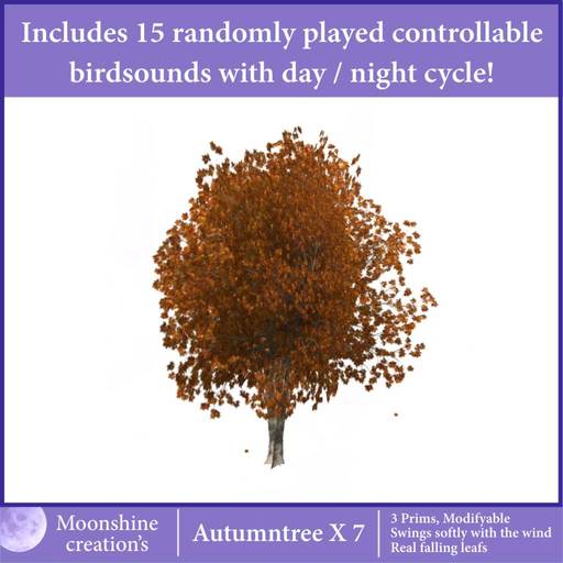 Autumntree X-7