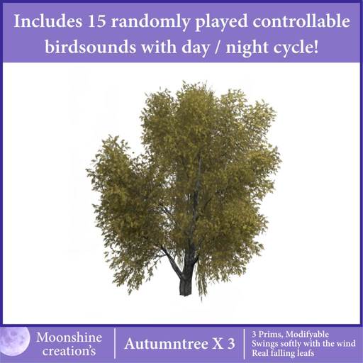 Autumntree X-3