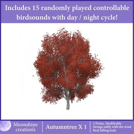 Autumntree X-1