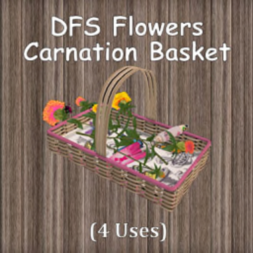 DFS Flowers - Carnation Basket