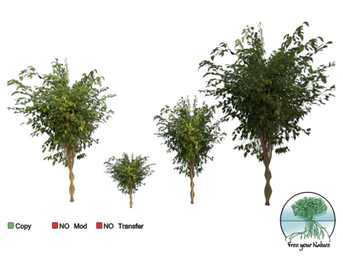 set plant -tropical- 09 MPC