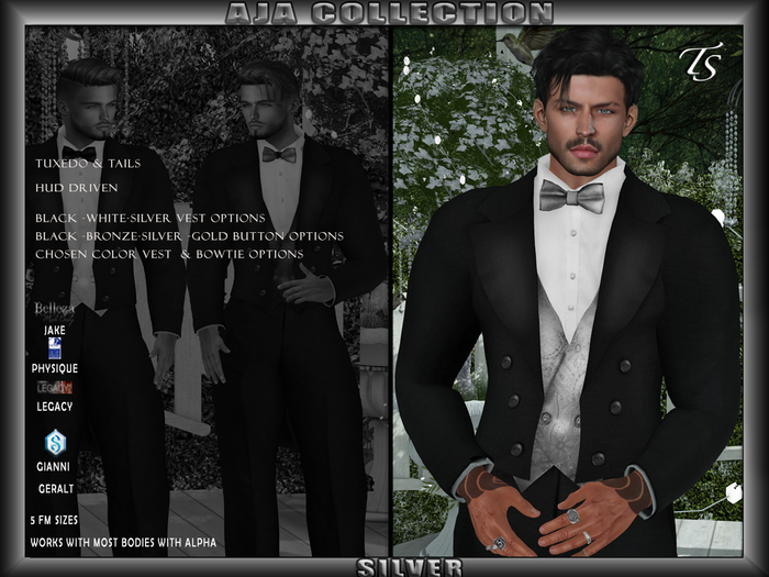 TS-Mens-Formal-Aja-Silver