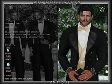 TS-Mens-Formal-Aja-Antique