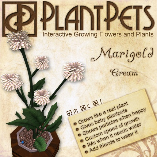 PlantPet Seed [Marigold *Cream*] Updated