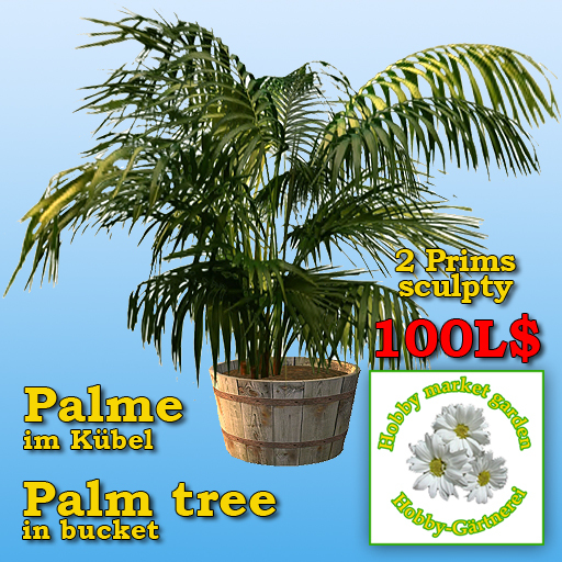 Palm tree in bucket