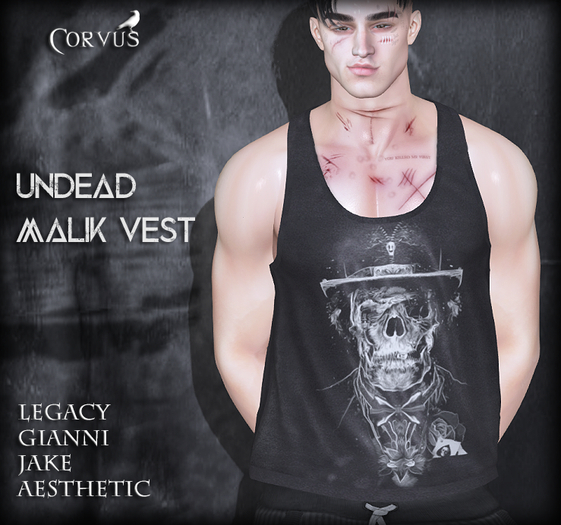 Corvus : Undead Malik Vest (lucky prize inworld)