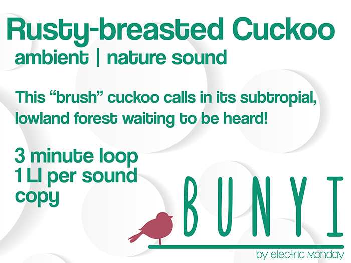 Bunyi Nature Sounds - Rusty-breasted Cuckoo Bird Bird