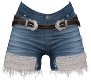 RIOT / Claire Cutoffs - Blue42s