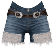 RIOT / Claire Cutoffs - Blue38