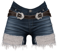 RIOT / Claire Cutoffs - Blue30