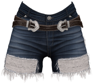 RIOT / Claire Cutoffs - Blue17s