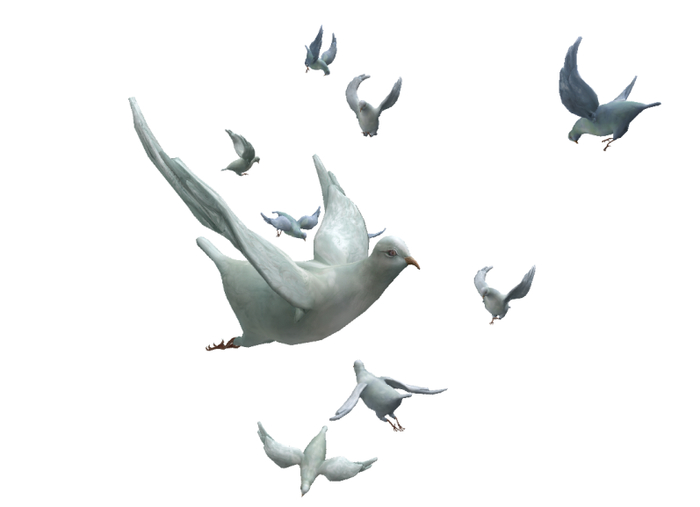 7 {anc} NO LIMITS.flying doves  [soda-blue]