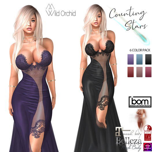 Wild Orchid _ Counting Stars C3