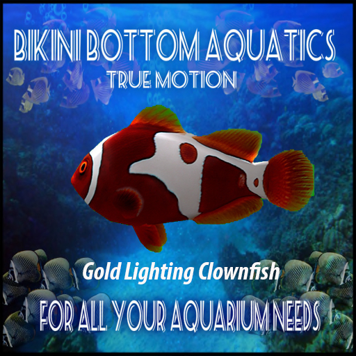 TM Gold Lighting Clownfish Sb