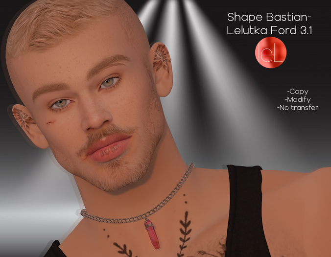 SHAPE BASTIAN-LELUTKA FORD 3.1