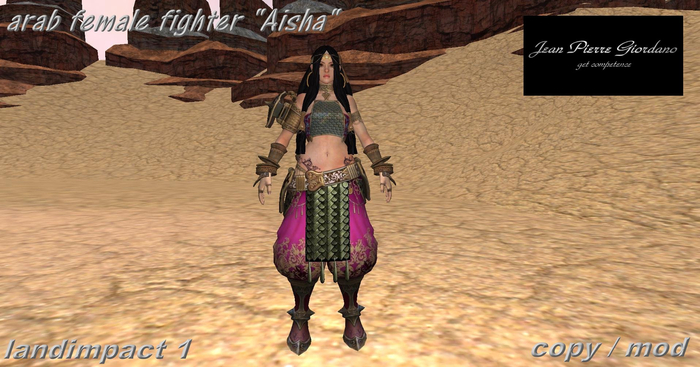 arab female Fighter Aisha mesh 