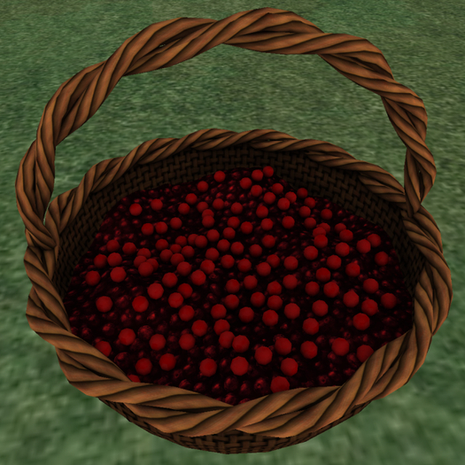 DFS Cranberry Basket (SALE)